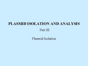 PLASMID ISOLATION AND ANALYSIS Part III Plasmid Isolation