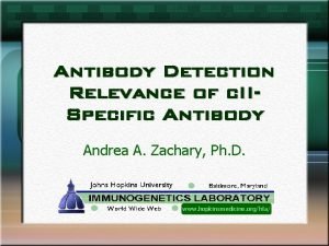 Antibody Detection Relevance of c IISpecific Antibody Andrea