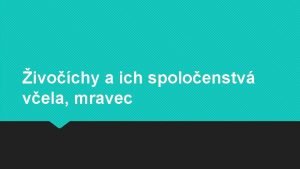 ivochy a ich spoloenstv vela mravec Vely ij