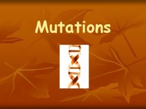 Beneficial mutations examples