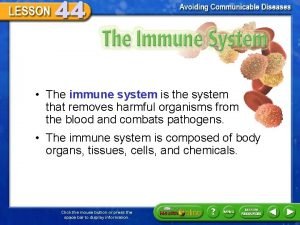 The Immune System The immune system is the
