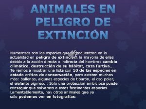 Numerosas son las especies que se encuentran en