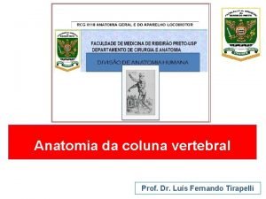Anatomia da coluna vertebral Prof Dr Lus Fernando