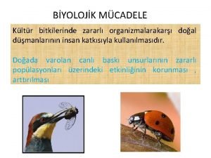 BYOLOJK MCADELE Kltr bitkilerinde zararl organizmalarakar doal dmanlarnn