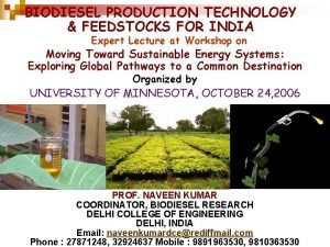 BIODIESEL PRODUCTION TECHNOLOGY FEEDSTOCKS FOR INDIA Expert Lecture