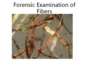 Forensic Examination of Fibers Fiber Evidence Collection Critical