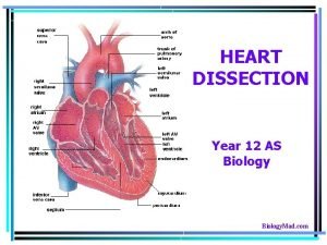 Biology mad