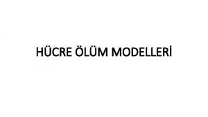 HCRE LM MODELLER Hcre lmleri 3 grupta incelenir