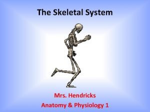 Mrs skeletal Mrs skeletal