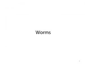 Worms 1 Viruses vs Worms Viruses dont break