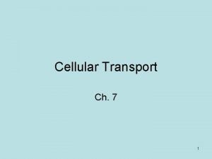 Cellular Transport Ch 7 1 Cell Transport Plasma