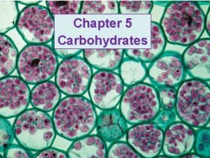 Chapter 5 Carbohydrates 5 1 SUGARS AS MONOMERS