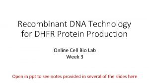 Recombinant DNA Technology for DHFR Protein Production Online