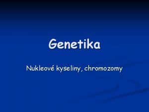 Genetika Nukleov kyseliny chromozomy Vznam nukleovch kyselin V