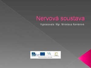 Nervov soustava Vypracovala Mgr Miroslava Komrov EU V2