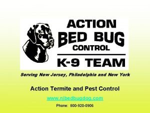 Bed bug sniffing dogs nj