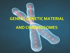 GENES GENETIC MATERIAL AND CHROMOSOMES INTRODUCTION Each individual