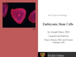 Hot Topics in Biology Embryonic Stem Cells NIH