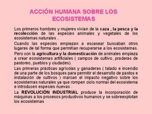 ACCIN HUMANA SOBRE LOS ECOSISTEMAS Los primeros hombres