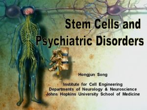 Hongjun Song Institute for Cell Engineering Departments of