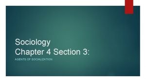 What is sociology section 3