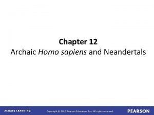 Chapter 12 Archaic Homo sapiens and Neandertals Copyright