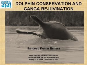 Dolphin/biodiversity of ganga drawing