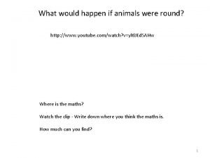 If animals were round 2