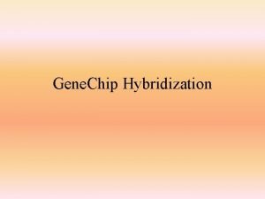 Gene Chip Hybridization The following hybridization mix is