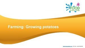 Farming Growing potatoes www foodafactoflife org uk Food