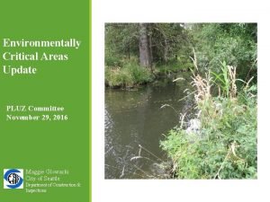 What is environmentally critical areas