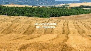 LE LAVORAZIONI DEL TERRENO LE LAVORAZIONI DEL TERRENO