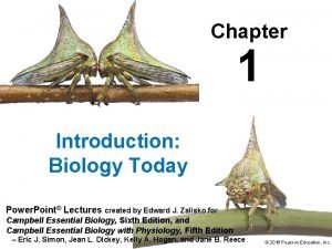 Chapter 1 Introduction Biology Today Power Point Lectures