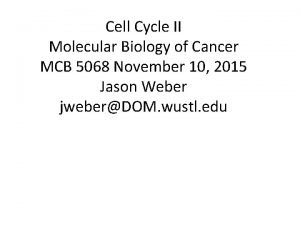 Cell Cycle II Molecular Biology of Cancer MCB