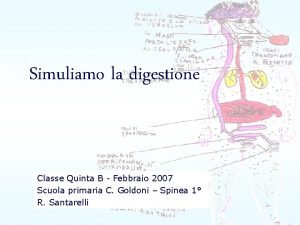 Simuliamo la digestione Classe Quinta B Febbraio 2007