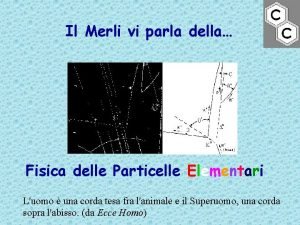 Il Merli vi parla della Fisica delle Particelle