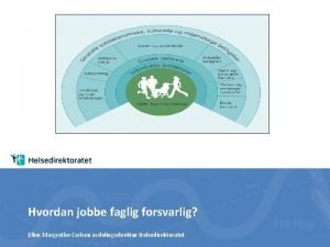 Hvordan jobbe faglig forsvarlig Ellen Margrethe Carlsen avdelingsdirektr