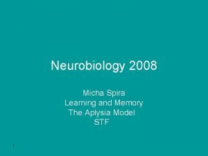 Neurobiology 2008 Micha Spira Learning and Memory The