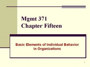 Mgmt 371
