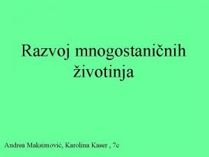 Razvoj mnogostaninih ivotinja Andrea Maksimovi Karolina Kaser 7