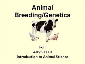 Animal BreedingGenetics For ADVS 1110 Introduction to Animal
