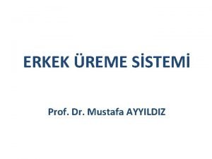 ERKEK REME SSTEM Prof Dr Mustafa AYYILDIZ Erkek