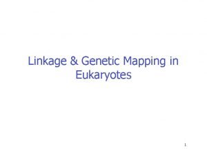 Linkage Genetic Mapping in Eukaryotes 1 LINKAGE AND