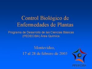 Control Biolgico de Enfermedades de Plantas Programa de