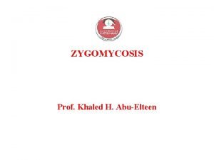 ZYGOMYCOSIS Prof Khaled H AbuElteen ZYGOMYCOSIS Also known
