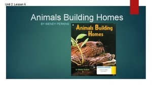 Animals building homes vocabulary