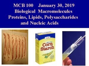 MCB 100 January 30 2019 Biological Macromolecules Proteins