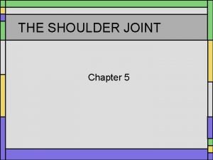 THE SHOULDER JOINT Chapter 5 Bones Humerus Scapula