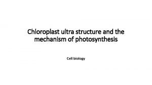 Chloroplast ultra structure and the mechanism of photosynthesis