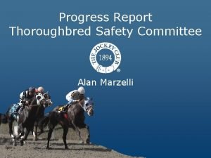 Progress Report Thoroughbred Safety Committee Alan Marzelli Mission